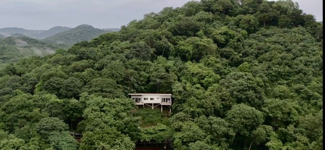 Resort grounds